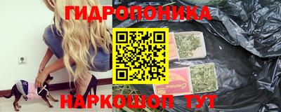 эйфоретик Малгобек