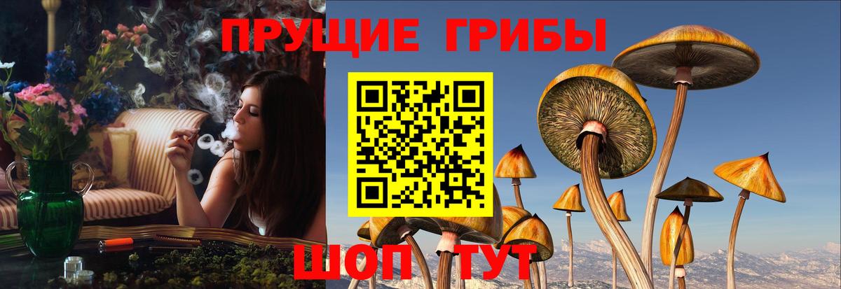 Вольск  Галлюциногенные грибы мухоморы  Вход с VPN 