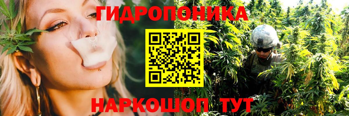 Марихуана White Widow  МАРИХУАНА White Widow  Вольск  Шишки марихуана Amnesia  Вход с VPN 